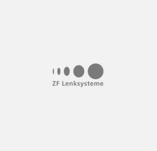 ZFLS
